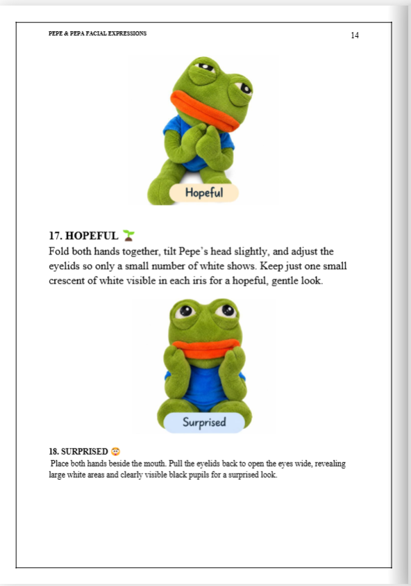 Pepe's Emotional Handbook